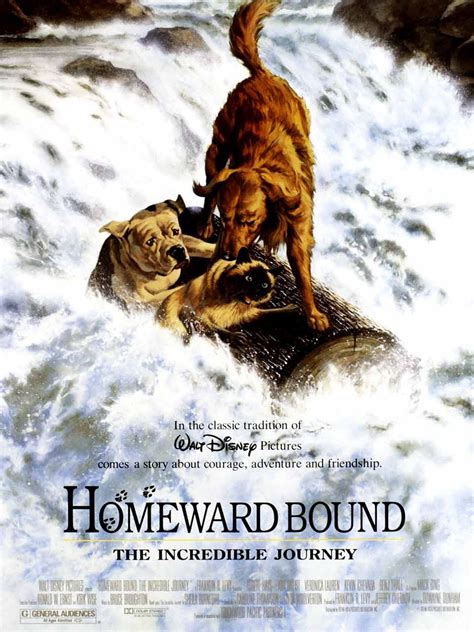 Homeward Bound The Incredible Journey Rotten Tomatoes