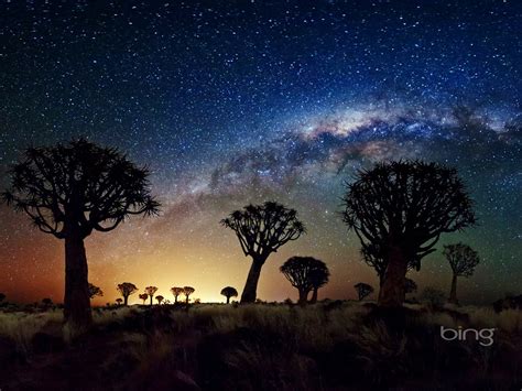 African Grasslands Night Sky May 2013 Bing Wallpaper Preview