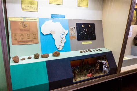 Fileearly Human Exhibit Blantyre Chichiri Museum Handwiki