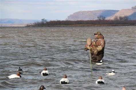 The Best Decoying Tips For Diving Duck Hunts Field And Stream