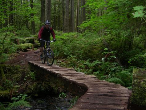 Wonderland Mountain Biking Trail Squamish Bc