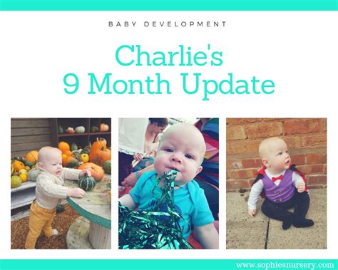 Baby Development At 9 Months Old Charlies Monthly Update Sophies