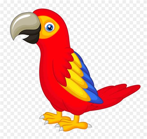 Birds Parrot Clip Art And Birds Tropical Bird Clipart Stunning