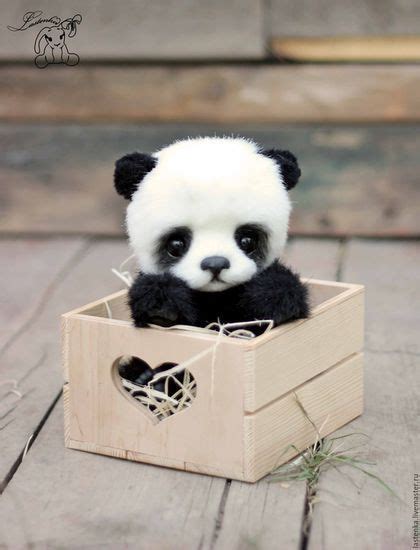 Cute Baby Panda Photo Stop What You Are Doing And Look At This