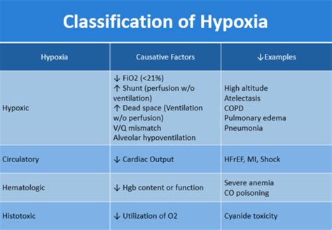 Exam 3 Hypoxia And Acclimatization Flashcards Quizlet