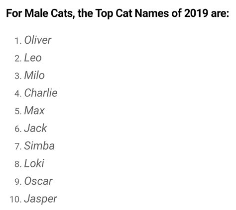 Who Tf Is Naming Their Cat Oliver Teenagersnew