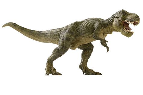 El Tiranosaurio Rex ¡ El Dinosaurio Más Famoso Cintets 6èb