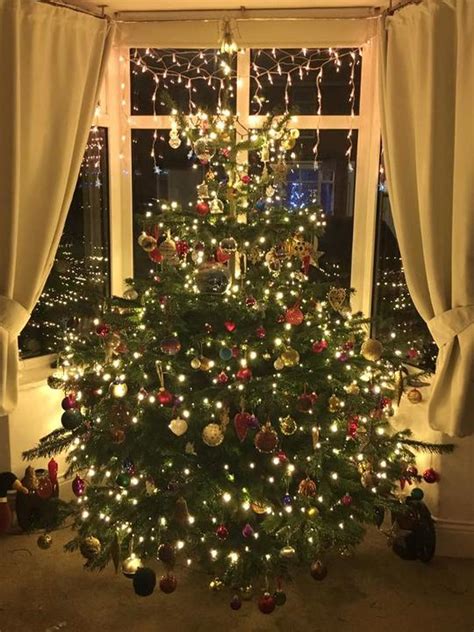 Top 20 readers' Christmas trees in Newcastle & the North East  voted