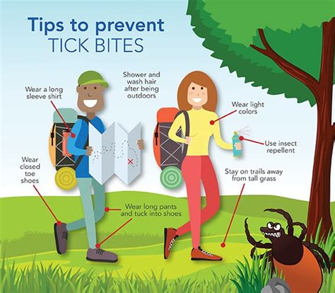 Tick Bite Prevention And Treating Tick Bites Tree Of Life Wellness Center