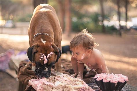 Perros Cuidando De Bebes Perros Amigos