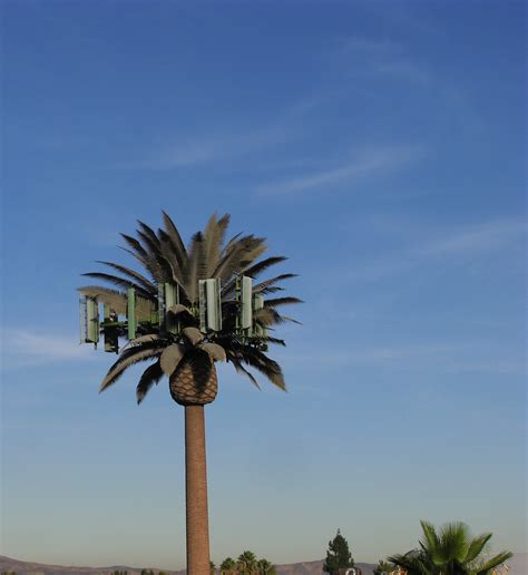 Botanical Imperative: Why Cellular Network Towers Get Disguised as