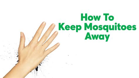 Swimming, hiking, riding your bike… mosquitoes always have using essential oils to keep mosquitoes away. How to Keep Mosquitoes Away | Consumer Reports - YouTube