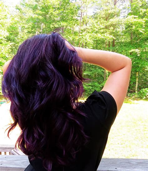 The Eagals Nest How To Dye Your Hair Purple Hair Color Purple