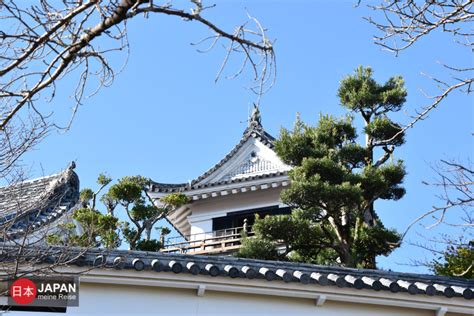 Burg Kochi Japan