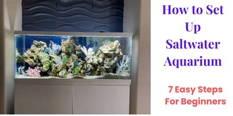How To Set Up Saltwater Aquarium 7 Easy Steps For Beginners