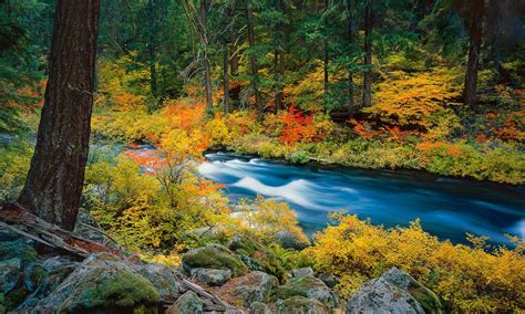 Autumn Rush Metolius River Fine Art Landscape Photograph Mike