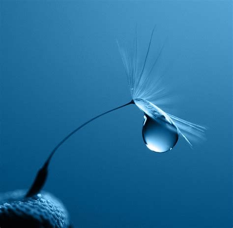 35 Incredible Examples Of Water Drop Photography Photography