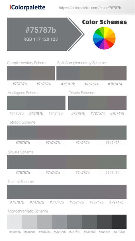 Pantone Cool Gray 9 C Color Hex Color Code 75787b Information Hsl