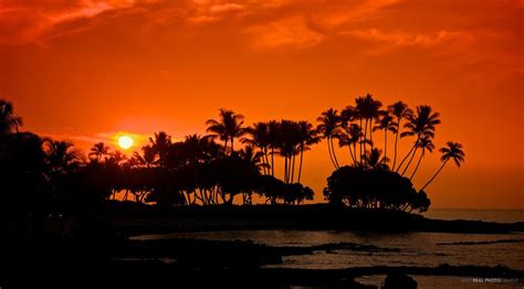 Best Spots To Witness A Sunset On The Big Island Big Island Big Island Hawaii Photo Spots