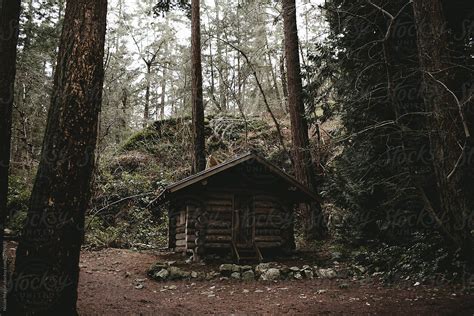 "Brown Cabin In A Dark Forest Woods" by Stocksy Contributor "Nicole