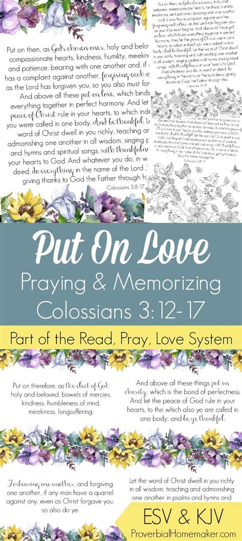 Coloring Pages Verse Cards And More For Memorizing Colossians 312 17