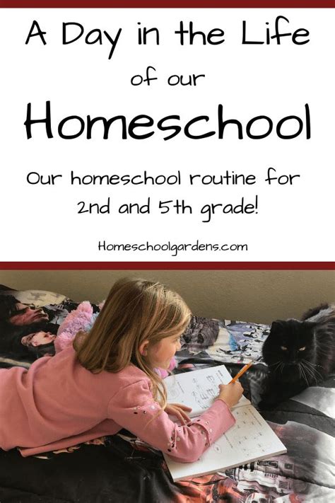 Homeschool Routine A Day In The Life Of Our Homeschool Homeschool