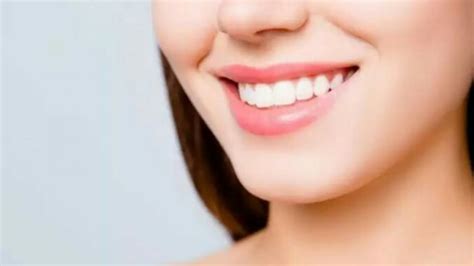Mengenal Jumlah Gigi Orang Dewasa Anatomi Dan Cara Perawatannya