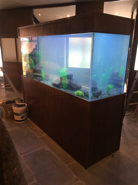 Img7208 Custom Fish Tanks And Aquariums