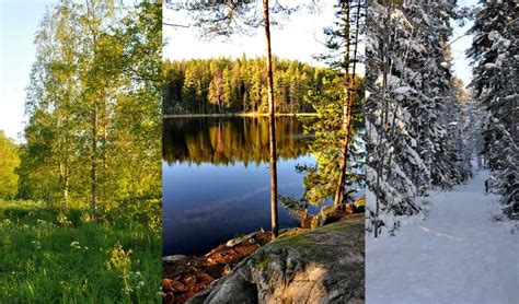Wonderful Article Kiitos All The Months Months In A Year Finnish