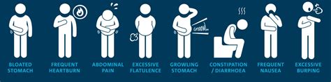 maintaining a healthy gut during weight loss csiroscope
