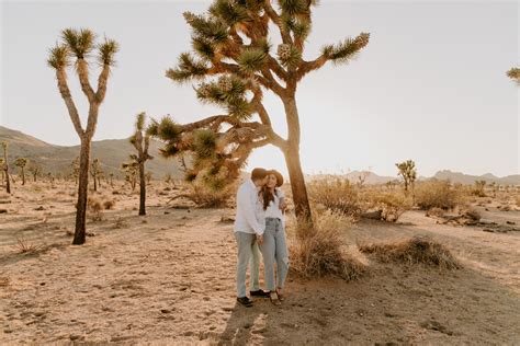 Sunset Joshua Tree Engagement Photos