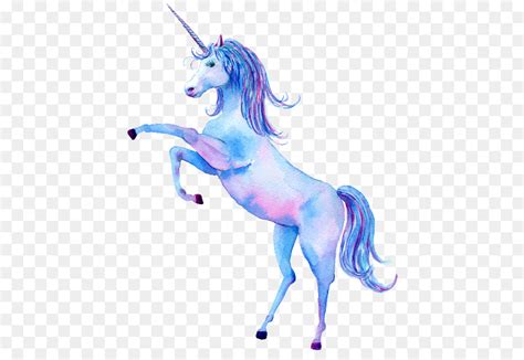 Kumpulan gambar unicorn dan legendanya yang sangat populer unicorn merupakan makhluk mitologi yang sangat terkenal di dunia. Gambar Ilustrasi Unicorn