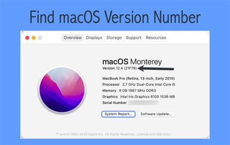 How To Find Macos Version And Build Number Webnots