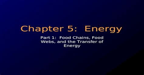 Chapter 5 Energy Part 1 Food Chains Food Webs And The Transfer Of