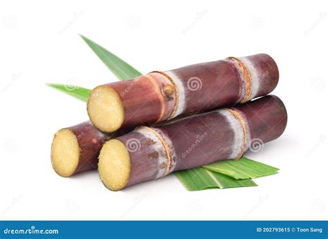 Fresh Red Sugar Cane With Green Leaf Stock Image Image Of Stem