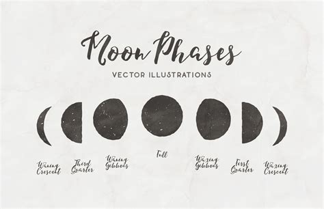 Medialoot Moon Phases Free Vector Illustrations Moon Phases Free