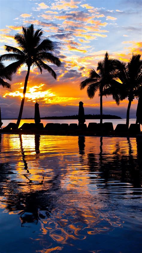 Palm Trees Pool Water Sea Resort Sunset Evening 1080x1920 Iphone