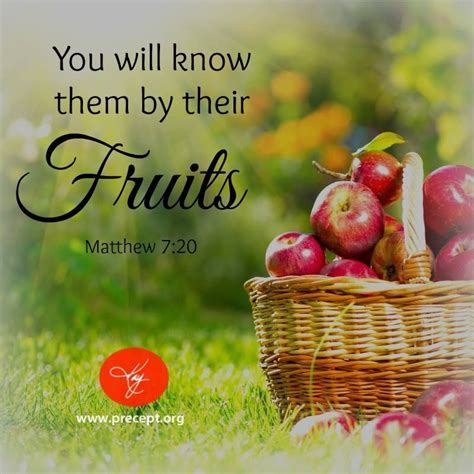 Matthew 720 You Will Know Them By Their Fruits Spiritual Pictures