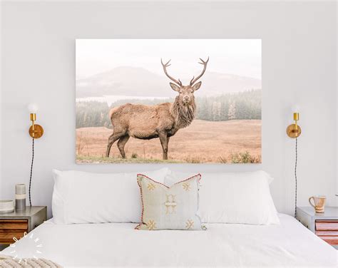 Wild Scottish Stag Canvas Print Portrait Of A Free And Wild Etsy