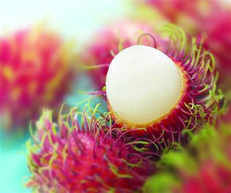Strange and unusual fruit from around the world. 7 Unusual Fruits You Might Not Have Seen Before