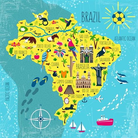 1 Thousand Cartoon Map Of Brazil Royalty Free Images Stock Photos