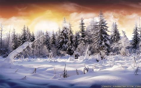Beautiful Winter Wallpaper ·① Wallpapertag