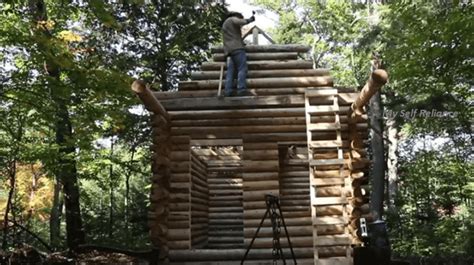 How To Build Your Own Log Cabin In The Woods Brilliant Diy