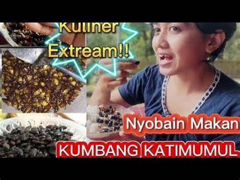 Nyobain Makan Kumbang Katimumul Youtube