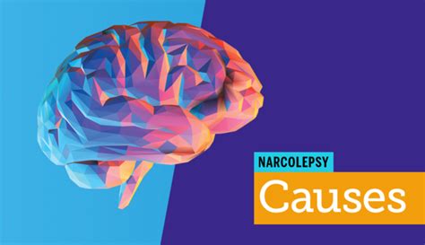 What Causes Narcolepsy Mynarcolepsyteam