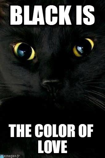 Did you scroll all this way to get facts about black cat matter? Best meme | Kittens, Crazy cats, Cats