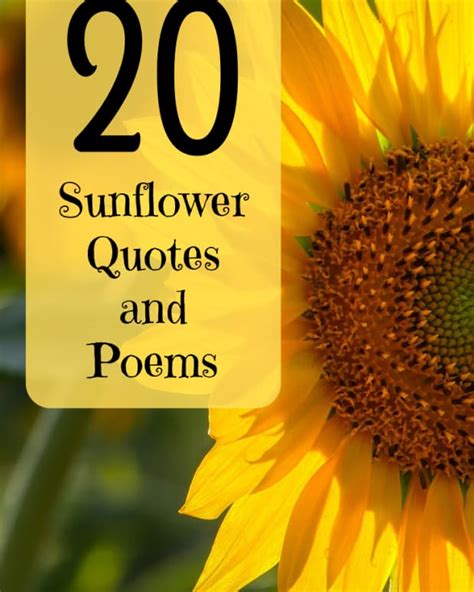 Funny Flower Quotes And Sayings To Include With A Bouquet Holidappy