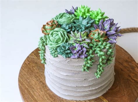 Succulent Cake Buttercream Piping Tutorial Craftsy