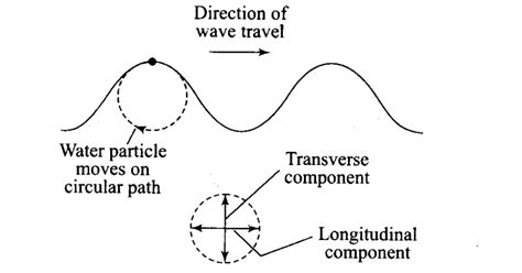 Furthermore, the characterization of longitudinal waves is by wave motion being parallel to particle motion. NCERT Exemplar Class 11 Physics Chapter 14 Waves - Learn CBSE