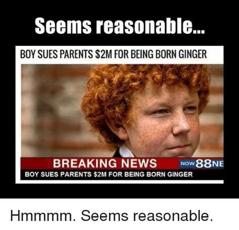 30 Ginger Memes That Are Way Too Witty Ginger Jokes Ginger Humor Hair Jokes